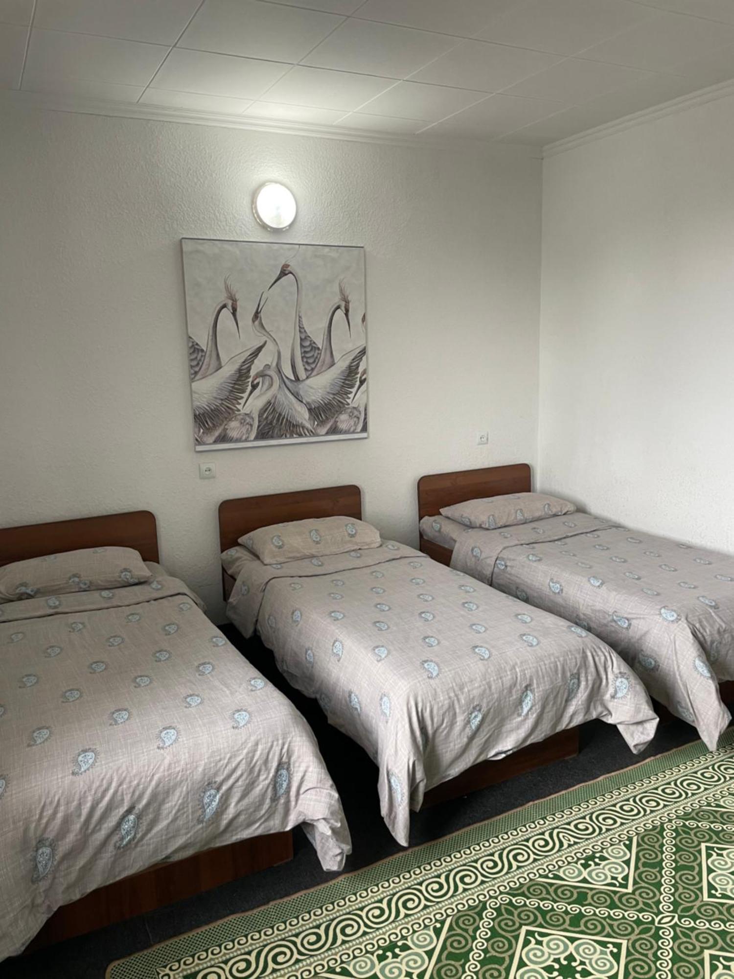 Wings Art Hotell Tsjolpon-Ata Eksteriør bilde